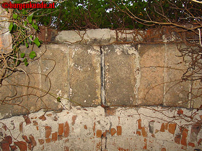 Ruine Scharfeneck bei Mannersdorf am Leithagebirge